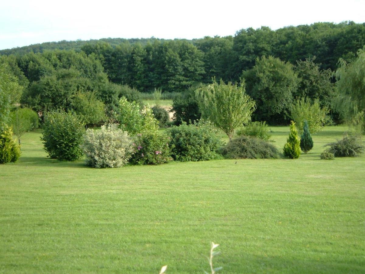 Villa le lansquenet à Rorbach-les-Dieuze Extérieur photo